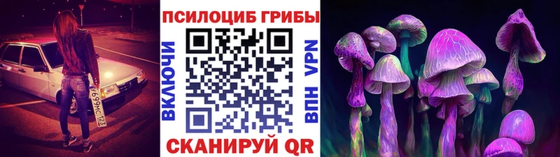 Псилоцибиновые грибы мухоморы  Ковдор 